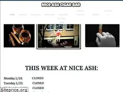 Sites similar to theniceash.com