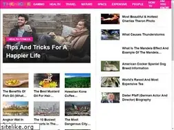 Sites similar to thenicee.com