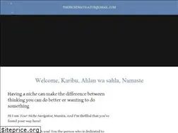 Sites similar to thenichenavigator.com