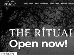 Sites similar to theoldlockup.com