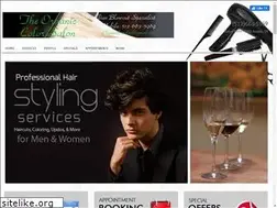 Sites similar to theorganiccolorsalon.com