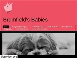 Sites similar to theperfectpup.com