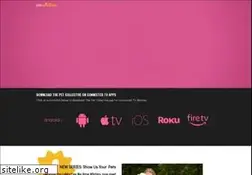 Sites similar to thepetcollective.tv