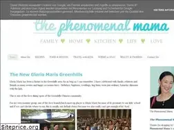 Sites similar to thephenomenalmama.blogspot.com