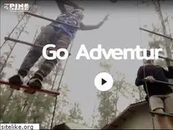 Sites similar to thepineresort.com