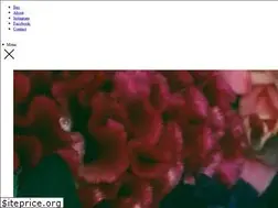 Sites similar to theplantmagazine.com
