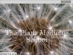 Sites similar to theplantmedicineschool.com