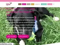 Sites similar to thepuppyrescue.com