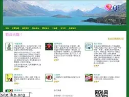 theqi.com