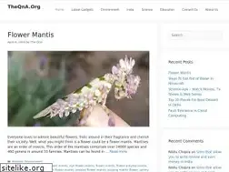 Sites similar to theqna.org