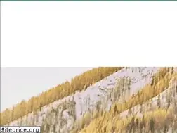 Sites similar to therabbismanual.com