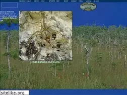 Sites similar to theredlands.com