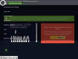 Sites similar to theringboxingclub.com