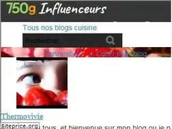 Sites similar to thermovivie.com