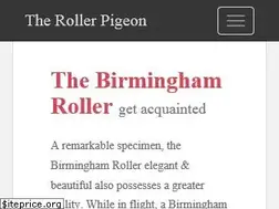 Sites similar to therollerpigeon.com