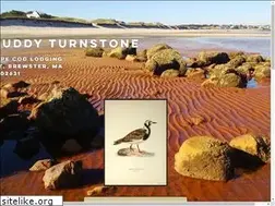 Sites similar to theruddyturnstone.com