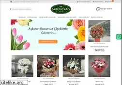 Sites similar to thesabuncakis.com
