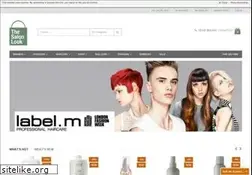 Sites similar to thesalonlook.com