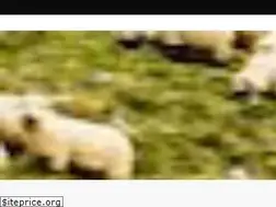 Sites similar to theshepherdscrook.co