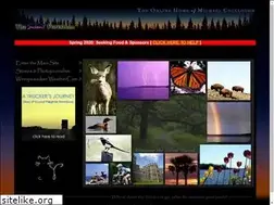 Sites similar to thesilentforest.com