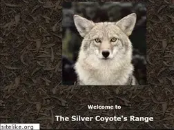 Sites similar to thesilvercoyote.net