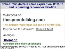Sites similar to thespoonfulblog.com