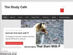 Sites similar to thestudycafe.com