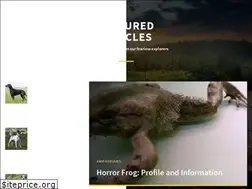 Sites similar to thetarpan.com