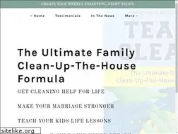 Sites similar to theteamclean.com