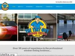 Sites similar to thetintguy.com