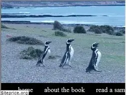 Sites similar to thetouristtrail.com
