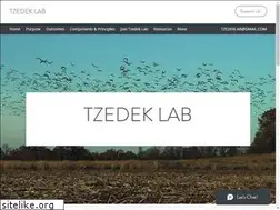 Sites similar to thetzedeklab.com