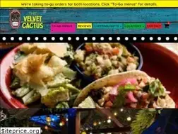 Sites similar to thevelvetcactus.com