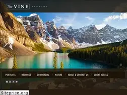 Sites similar to thevinestudios.com