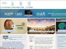 Sites similar to thevirtualbrain.org