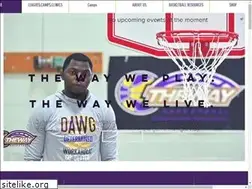 Sites similar to thewaybasketball.com