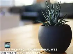Sites similar to thewebpro.com