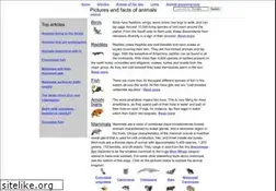 Sites similar to thewebsiteofeverything.com