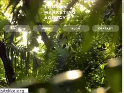 Sites similar to theweemarketingagency.com