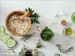 Sites similar to thewellington.shop