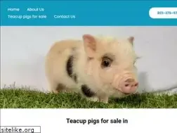 Sites similar to thewhitepath.com