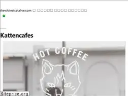 Sites similar to thewhitestcatalive.com