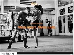 Sites similar to theyardmuaythai.com