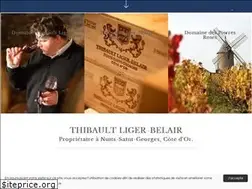 Sites similar to thibaultligerbelair.com