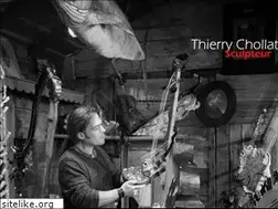 Sites similar to thierrychollat.com