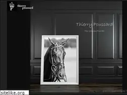 Sites similar to thierrypoussard.com