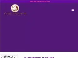 Sites similar to thirdnewhope.com