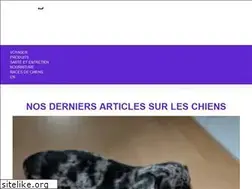 Sites similar to thisis.dog
