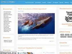 Sites similar to thisiscozumel.com