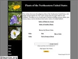 Sites similar to thismia.com